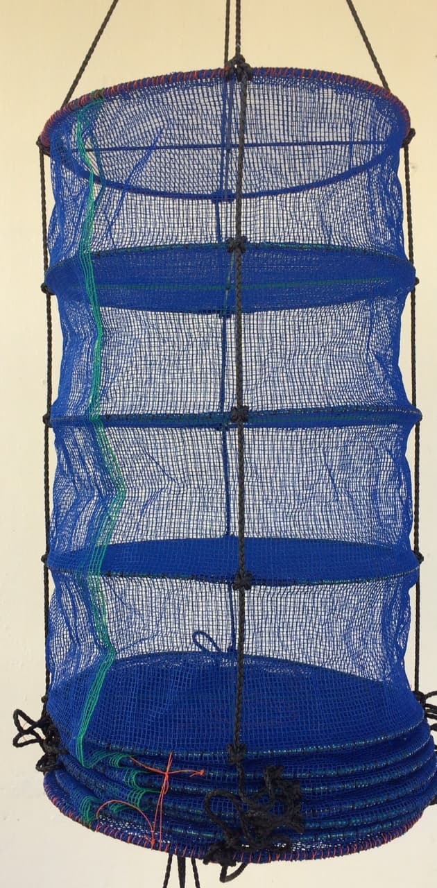 Lantern net for scallop_ oyster farming